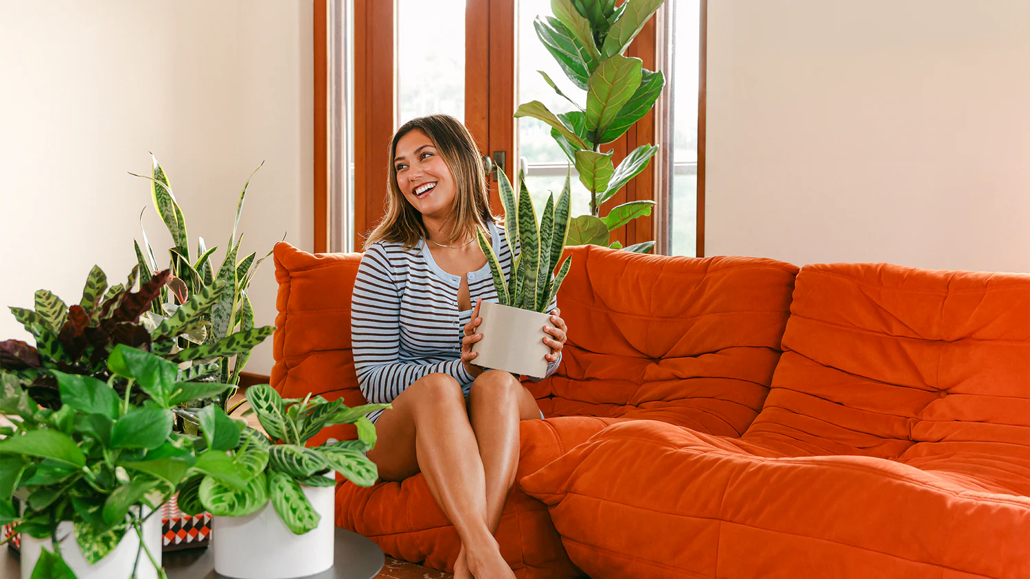 Bring the Outdoors Inside