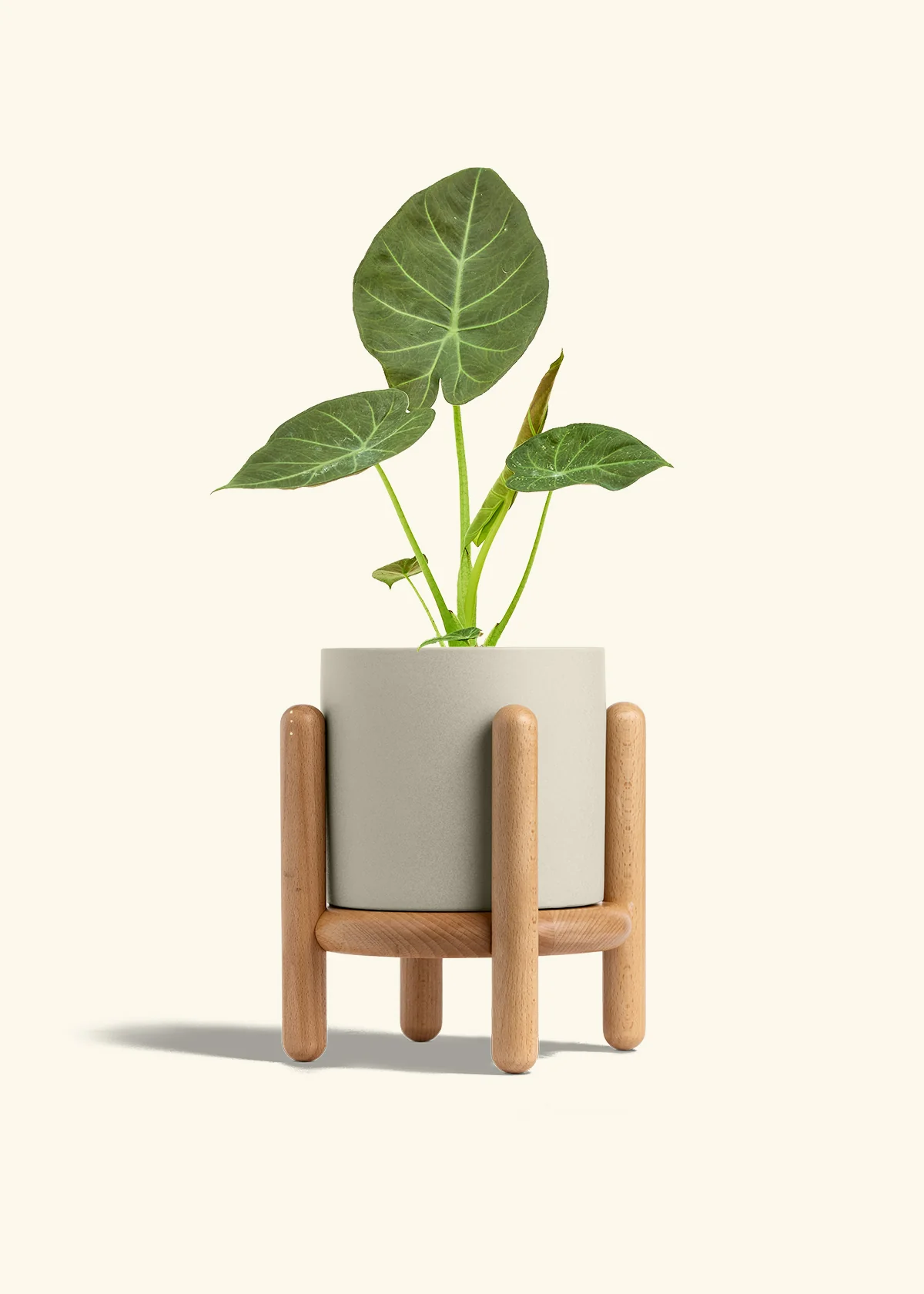 Product image 68